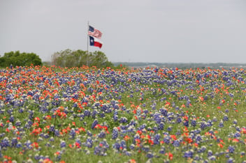 How Much Does Land Cost Around Austin, Texas?