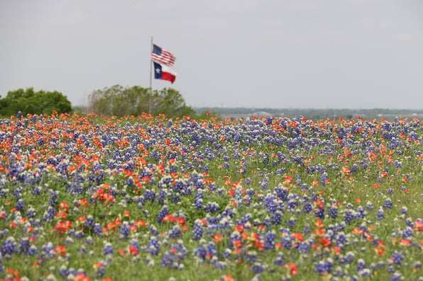 How Much Does Land Cost Around Austin, Texas?