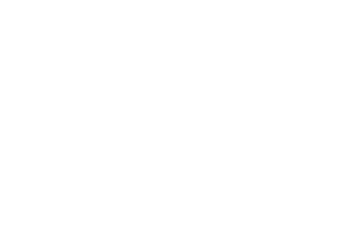 TrueLux Fine Homes Vertical Logo